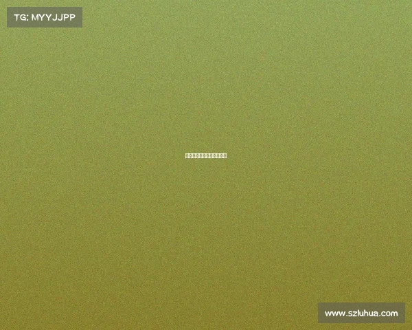 从初赛到决赛一路走来经历